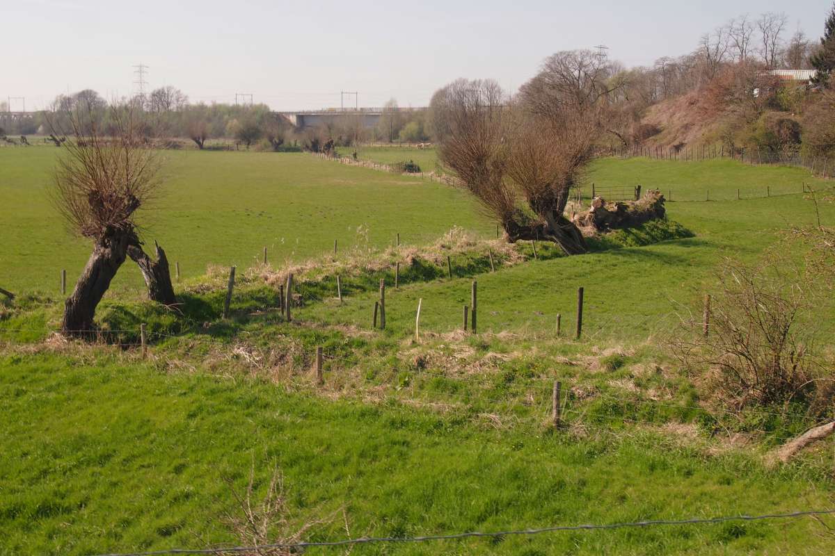 Slijpbeek visie Arnhem-Renkum Le Far West & Oak / Visieschets nieuwe beekloop Slijpbeek