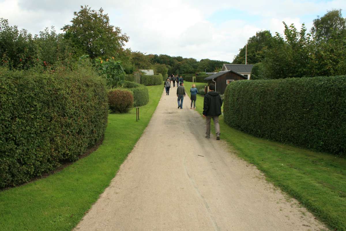 Referentie randbeplanting tuinkamers