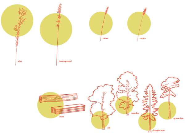 bomen/planten als grondstof: bouwen