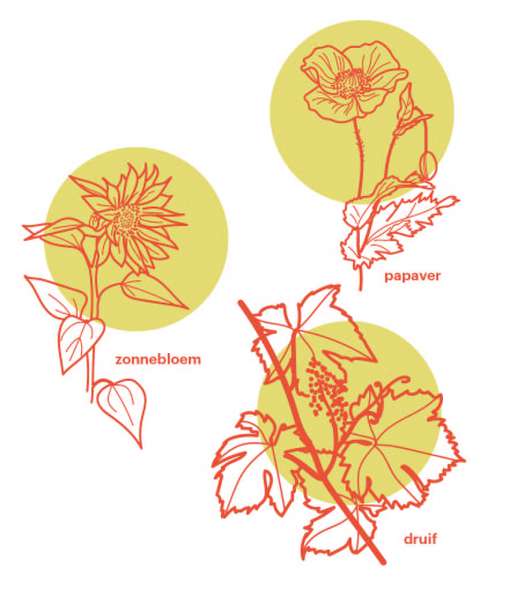 bomen/planten als grondstof: voedsel