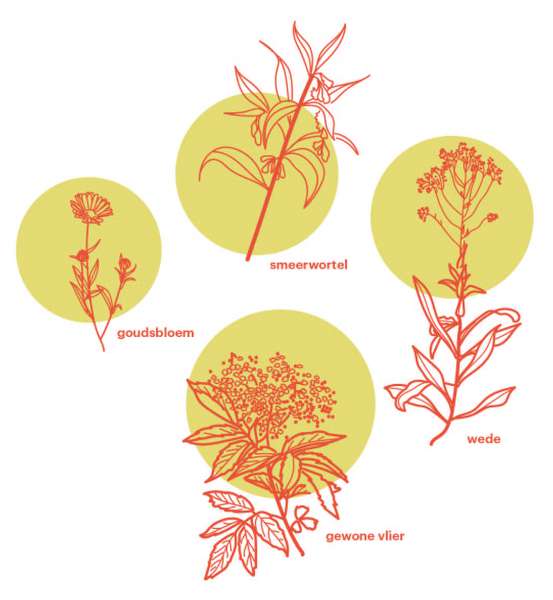 bomen/planten als grondstof: medicatie